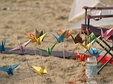 Cervia 2011-101